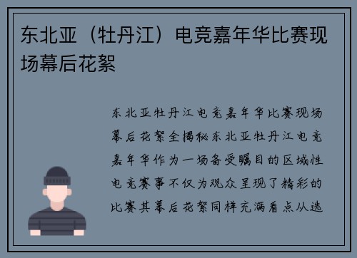 东北亚（牡丹江）电竞嘉年华比赛现场幕后花絮